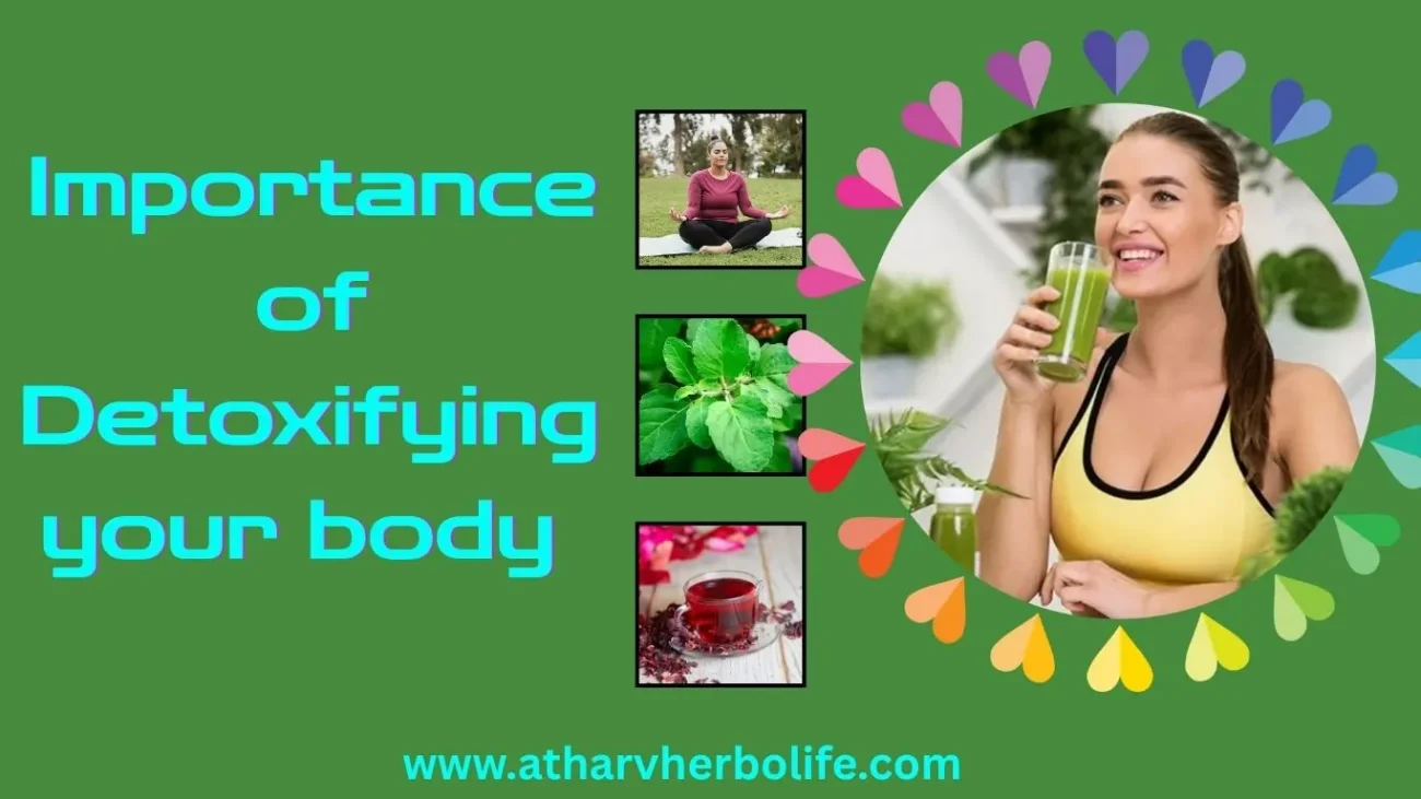 Importance of body detoxification naturally