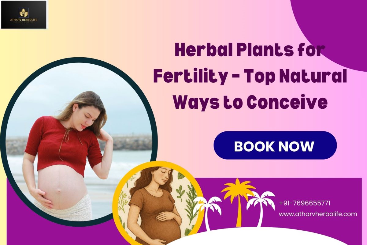 fertility herbs