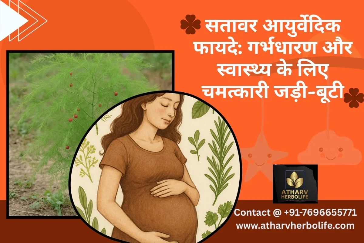 सतावर आयुर्वेदिक फायदे