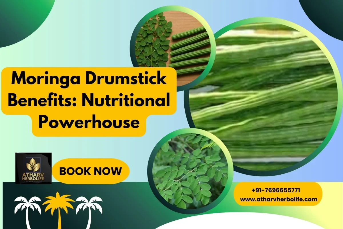 Moringa Drumstick Benefits