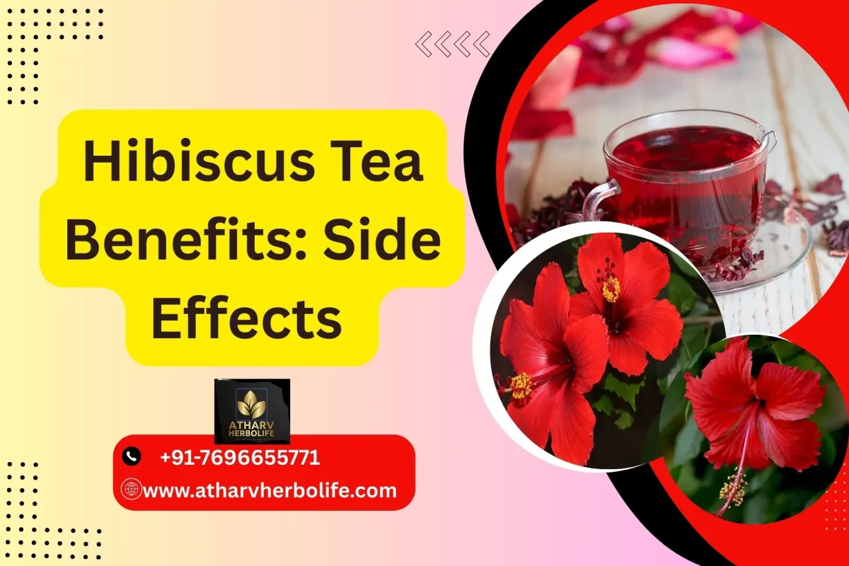 hibiscus tea benefits