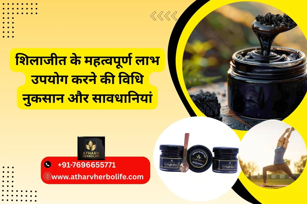 benefits of shilajit
