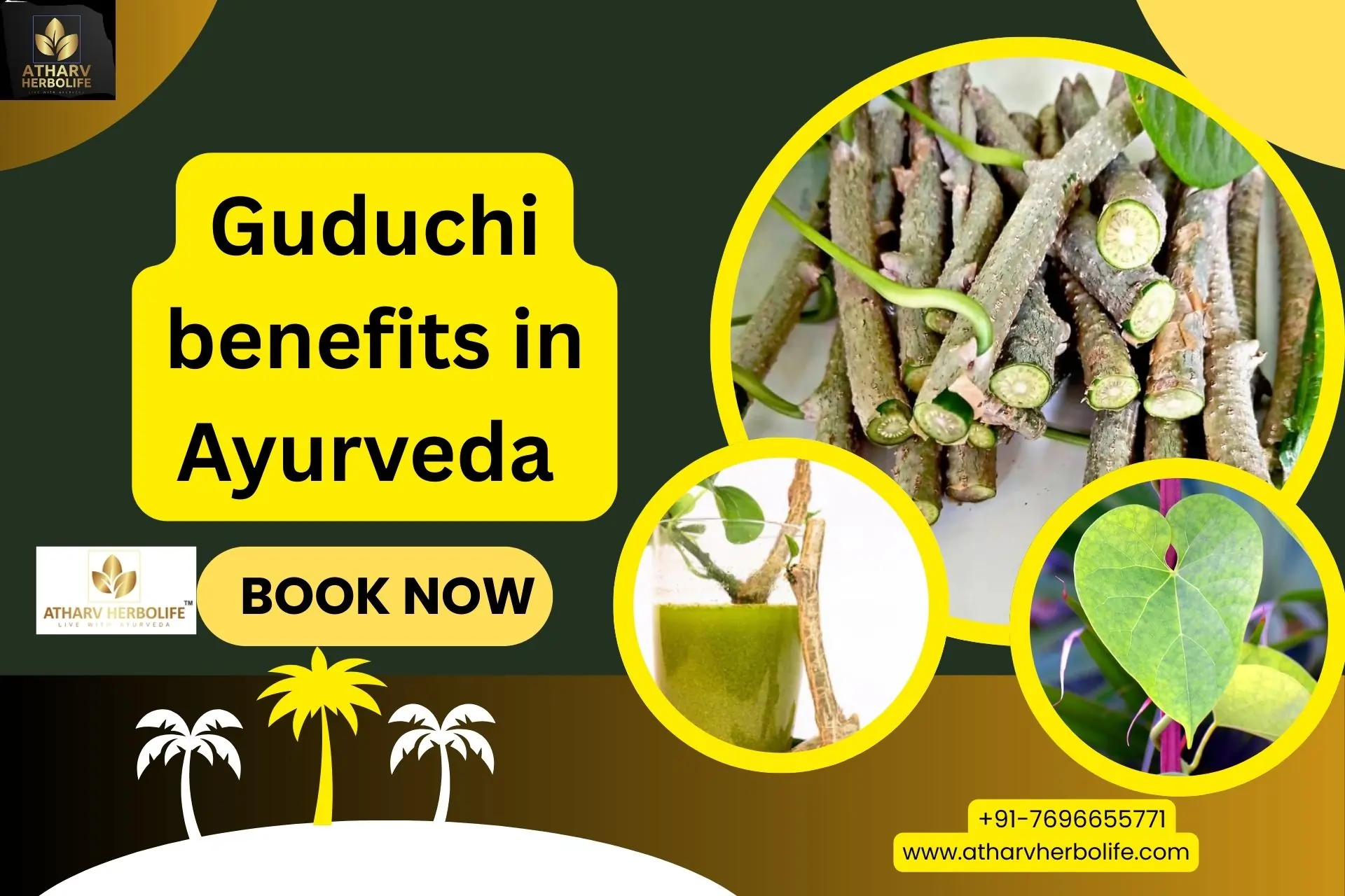 guduchi benefits