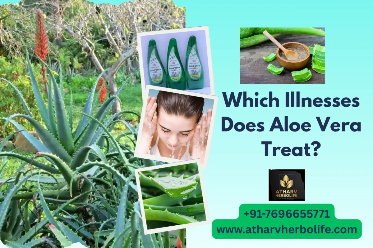 aloevera cure