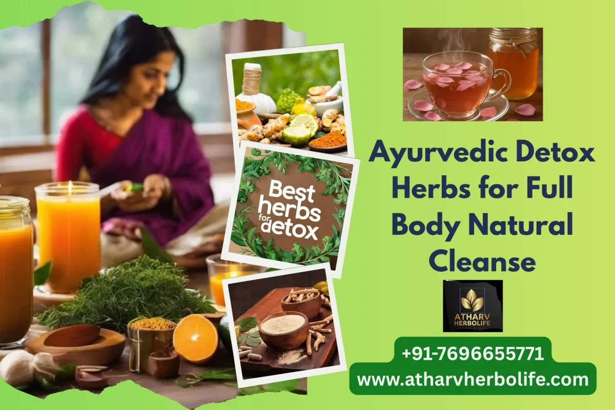 Body detox herbs