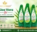 aloe-vera